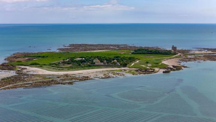 Huîtres fraiches Cherbourg-en-Cotentin