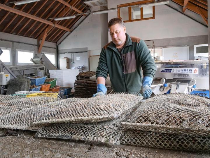 Livraison d'huîtres Cherbourg-en-Cotentin